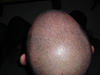 thumb_dscn0138.jpg